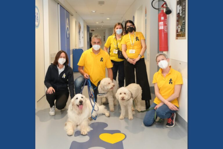 Pet Therapy