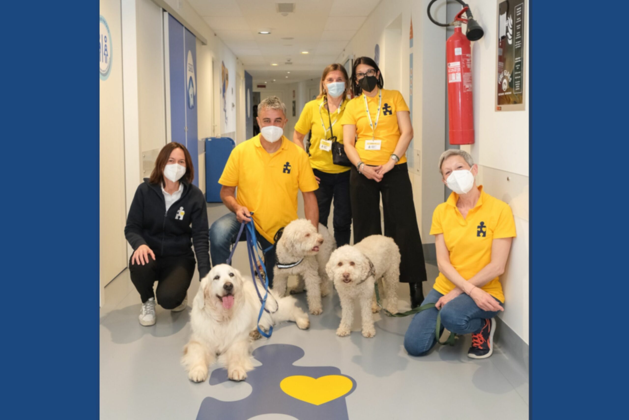 Pet Therapy
