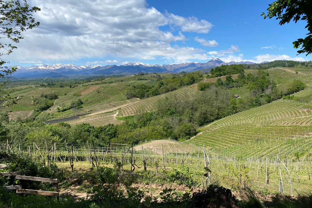 In cammino verso l’inclusione